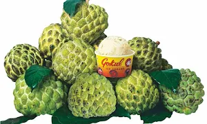 Gokul Ice Creams - Logo