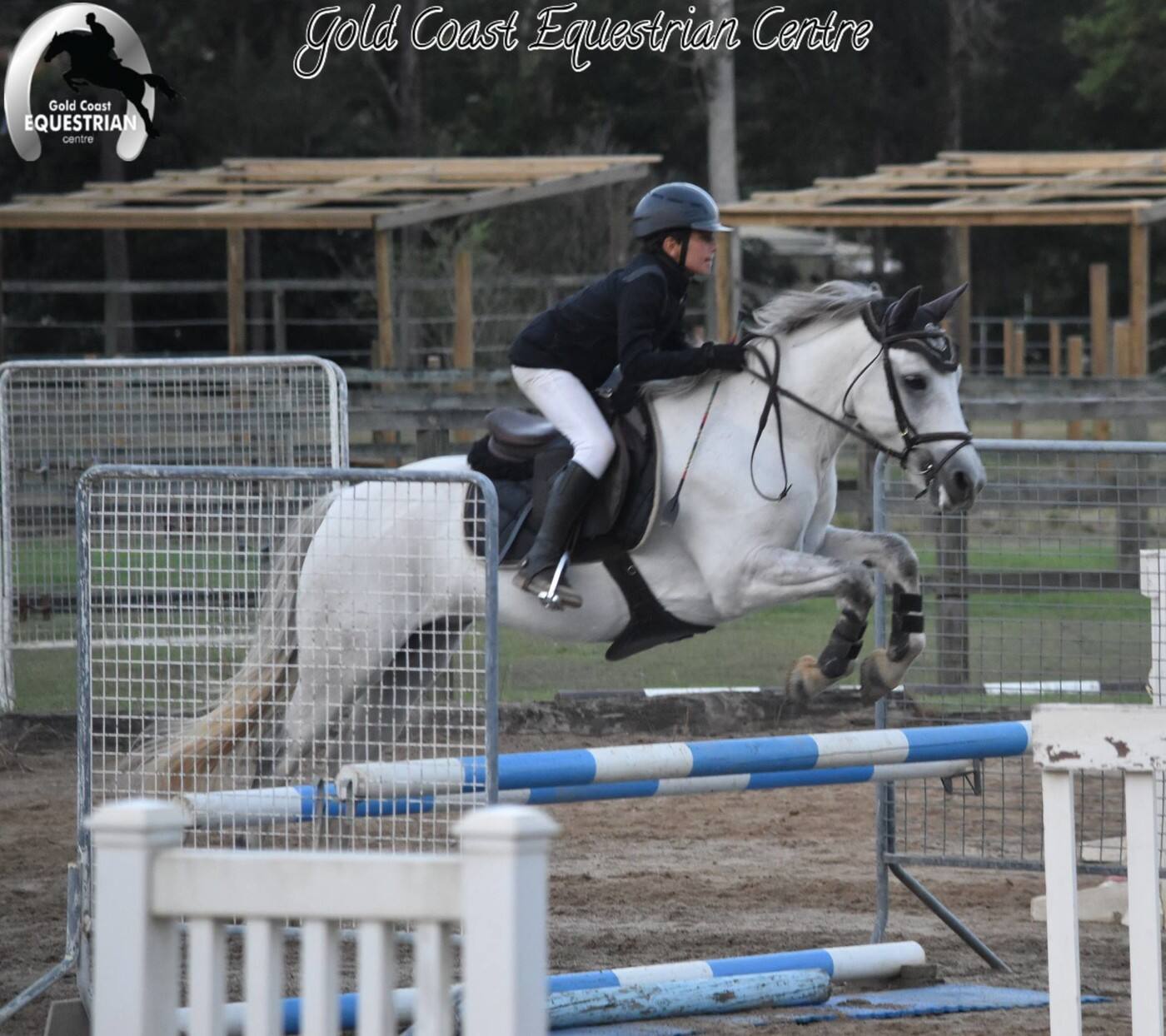 GOLD COAST EQUESTRIAN CENTRE - Logo