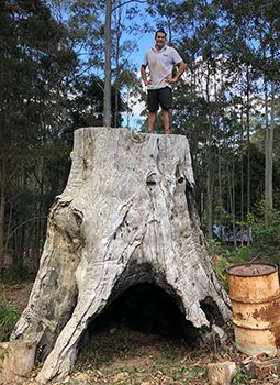 Gold Coast Stump Grinders - Logo