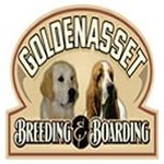 GoldenAsset Kennel - Logo