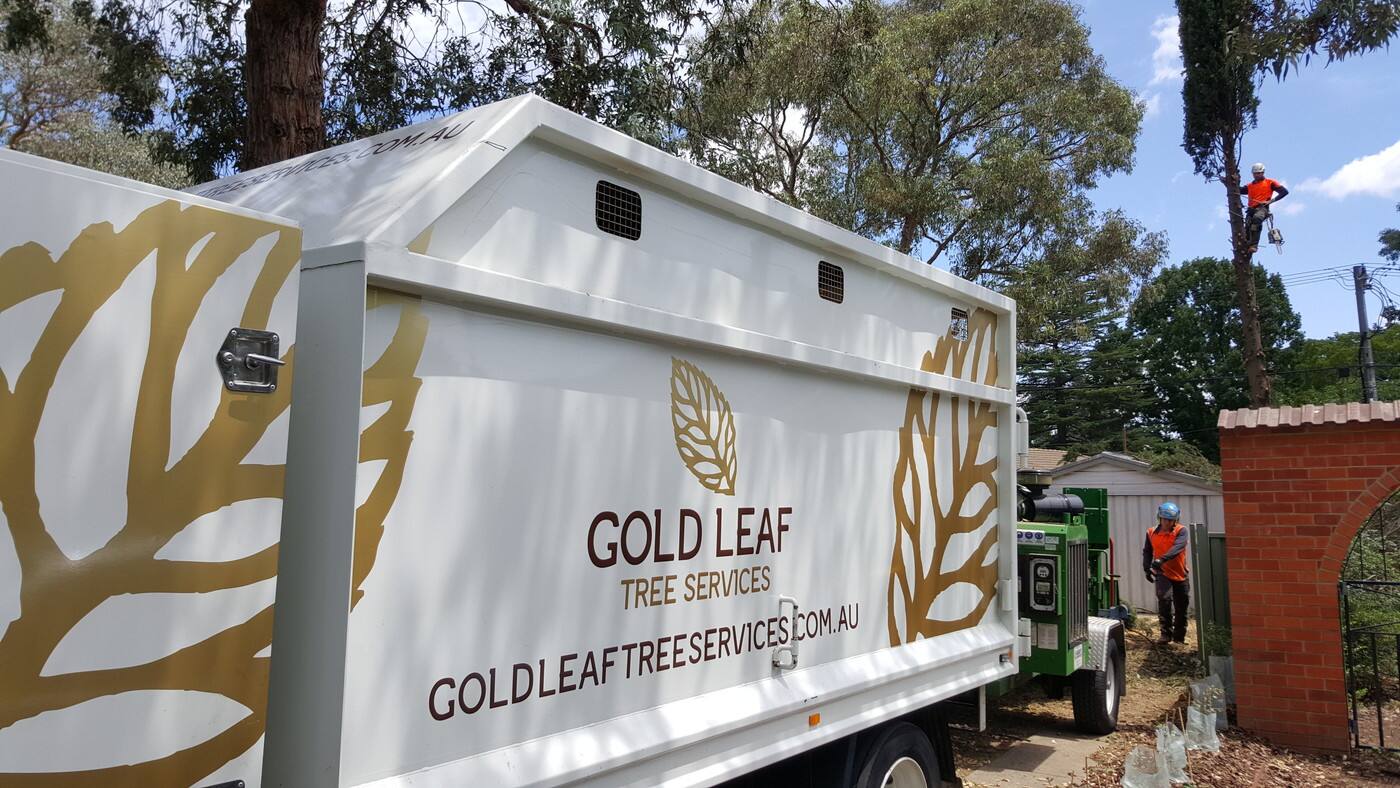 Gold Leaf Tree Services Pty Ltd - Cover photo