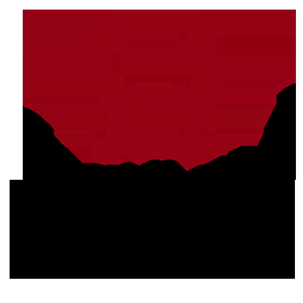 Golin Transport - Logo