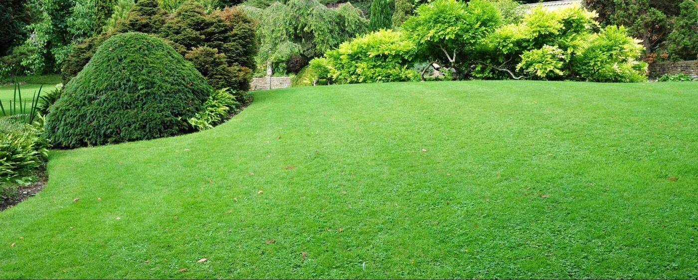 Gomo Lawncare - Cover photo