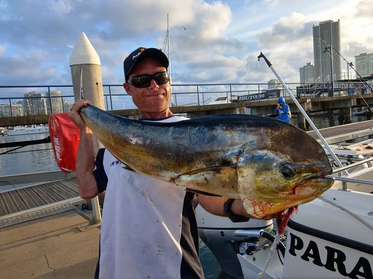 Gone Fishing Gold Coast - Cover photo