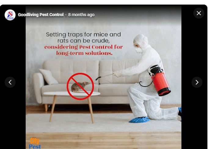 Goodliving Pest Control - Cover photo
