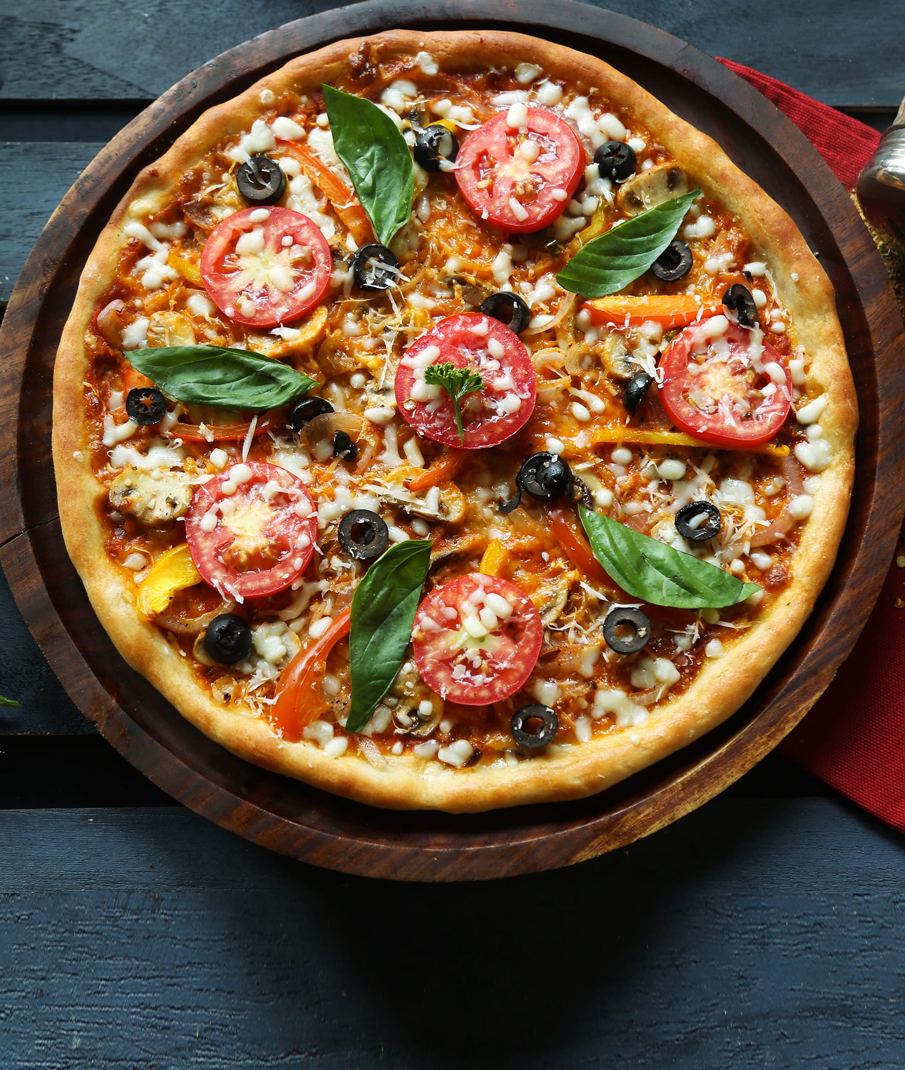 Gopal Pizza Point - Logo