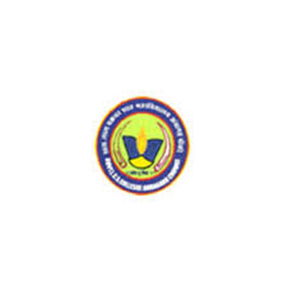 Govt. Naveen College Bori (GNCB) - Logo