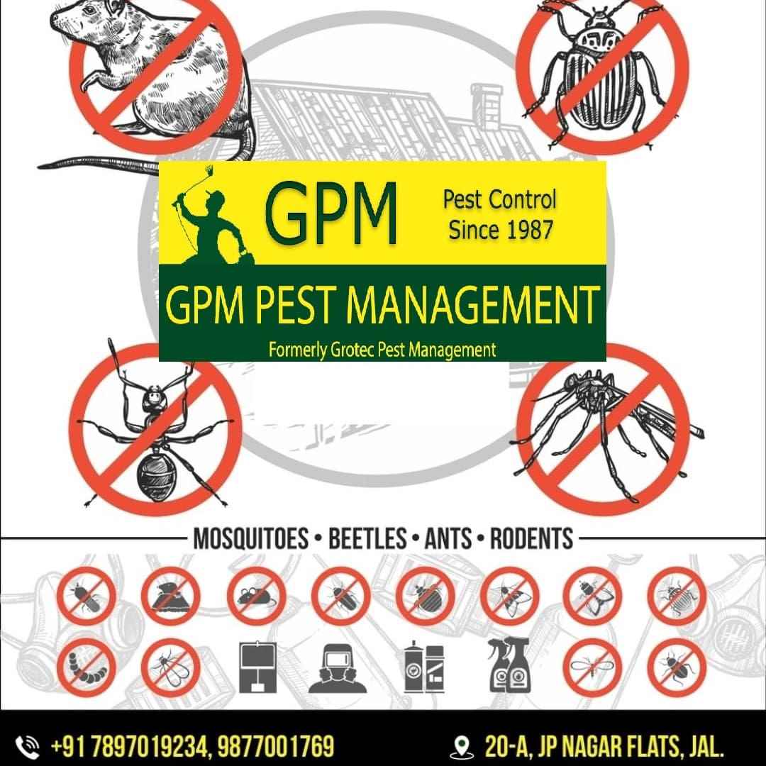 Gpm Pest Management - Cover photo