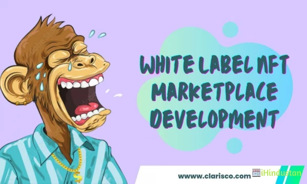 Grab Your White Label Nft Marketplace With A 50% Offers - Logo