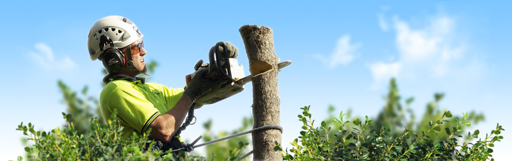 Grafton Mowing & Gardens - Logo