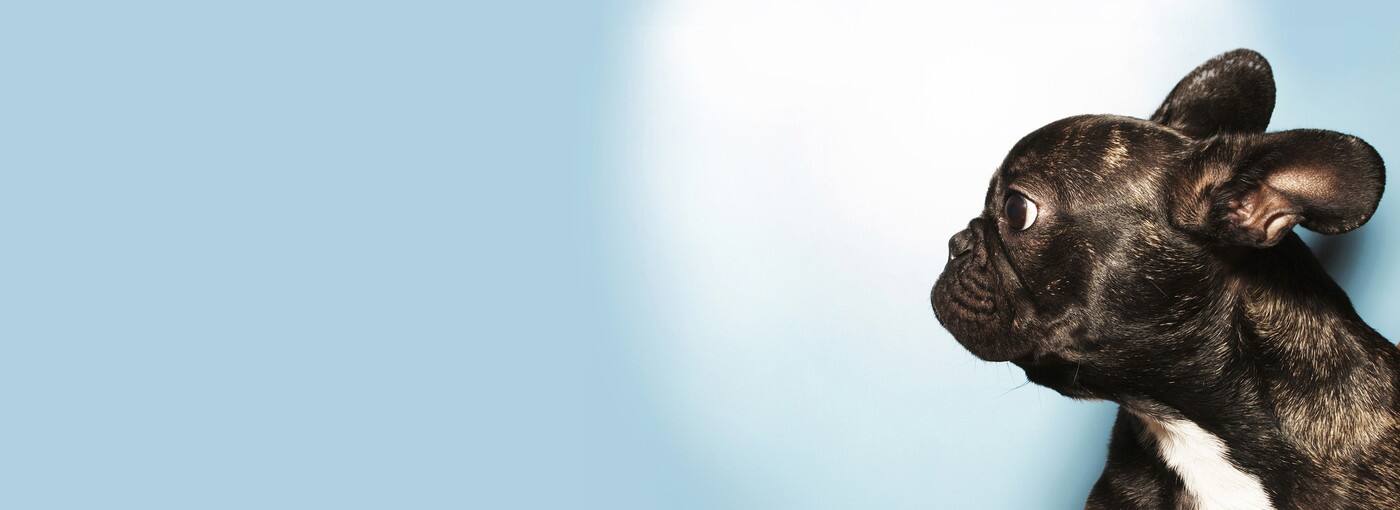 Graphe - Cover photo