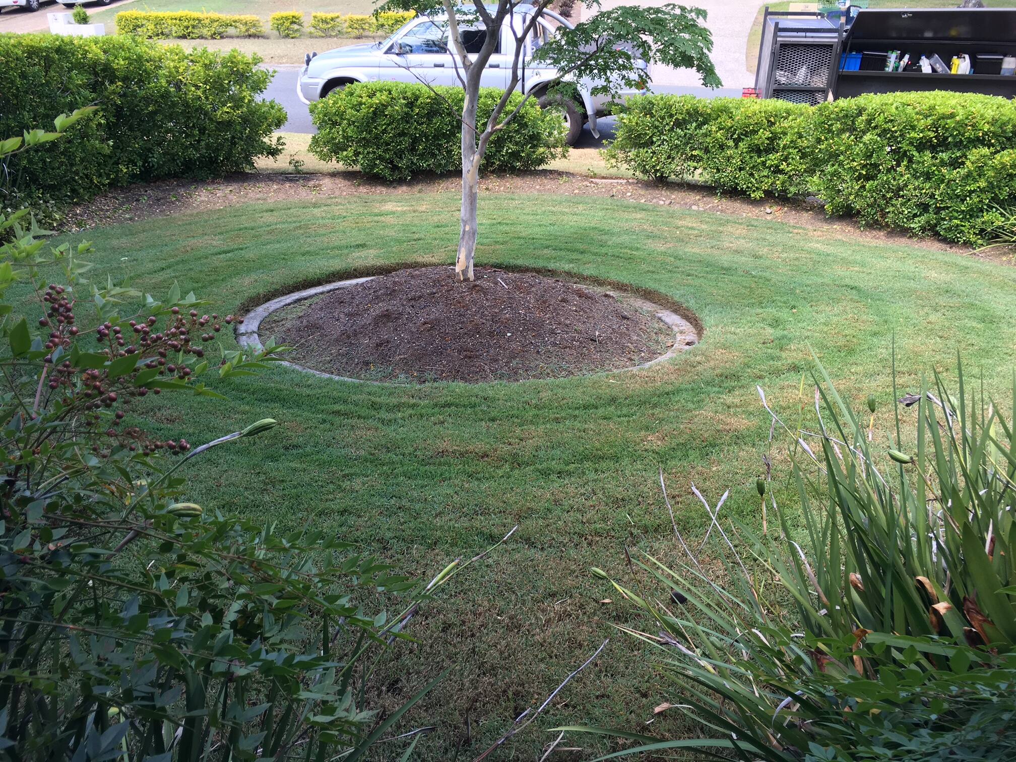 Grass Hoppa - Logo