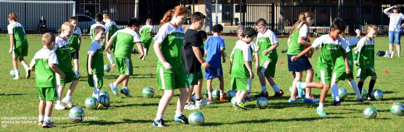 Grasshopper Soccer Adelaide North West Metro - Cover photo