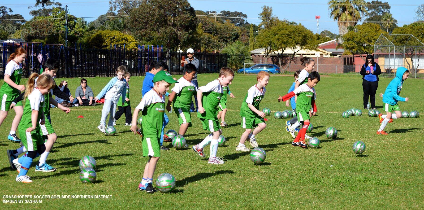 Grasshopper Soccer Adelaide North West Metro - Cover photo