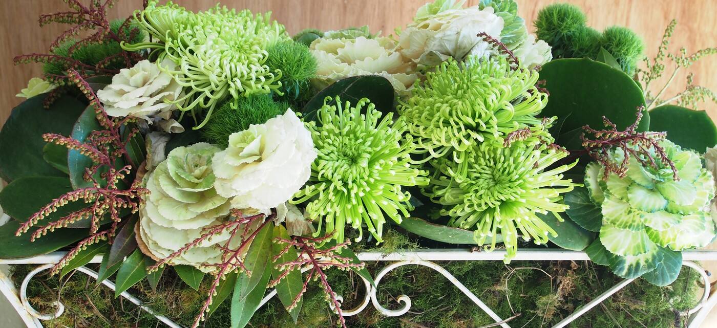 gray st flowers - Cover photo
