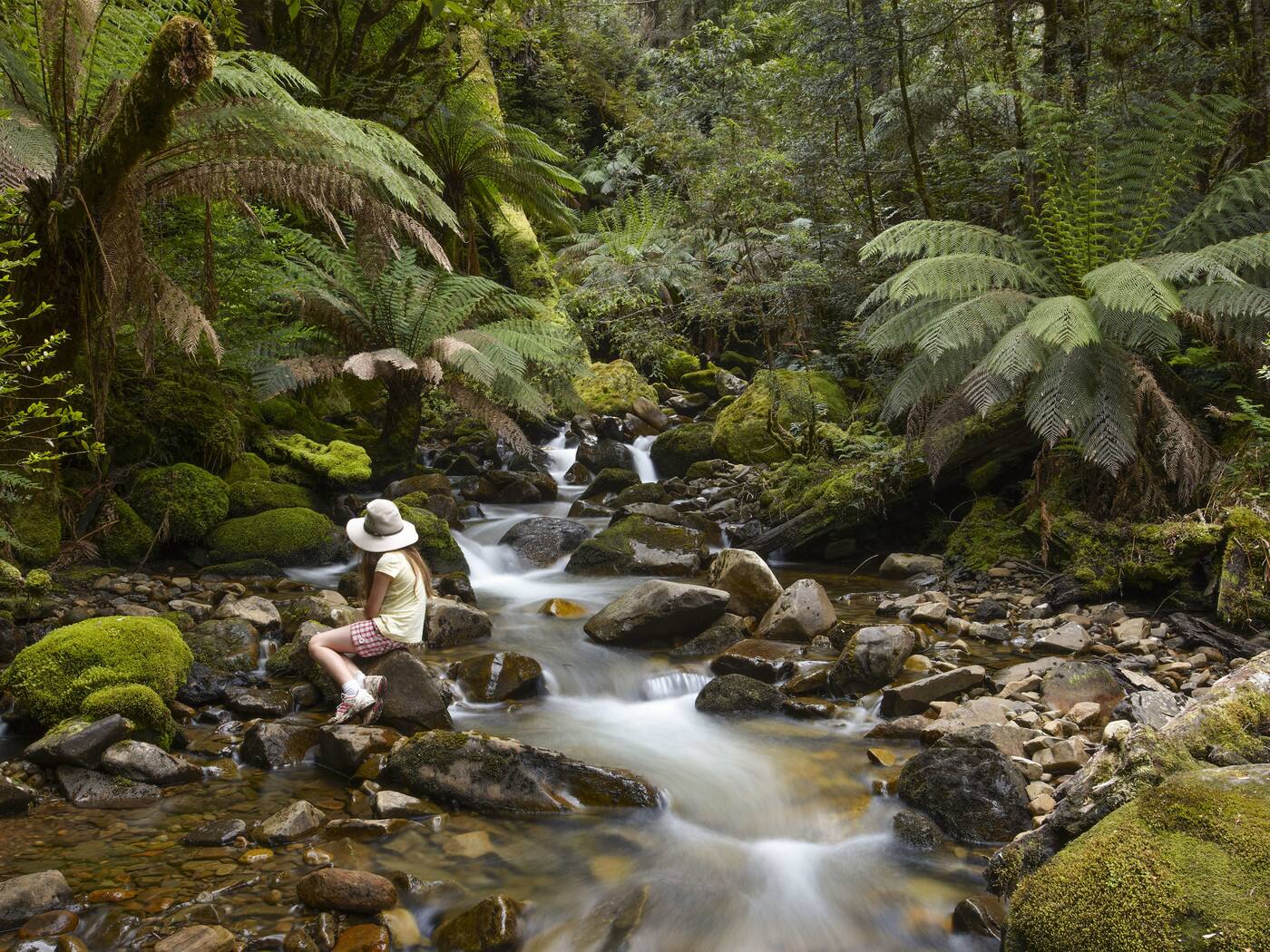 Great Aussie Photo Tours - Cover photo