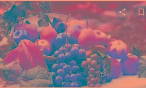 Green Market - Cover photo