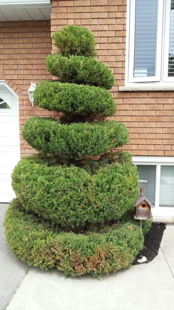 Green Acres Building and Property Maintenance - Cover photo