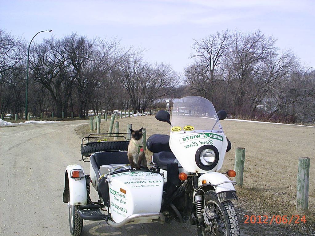 Green and White Yard Care - Logo