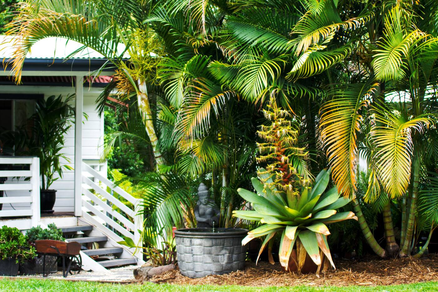 Greenery - The Garden Nursery - Cover photo