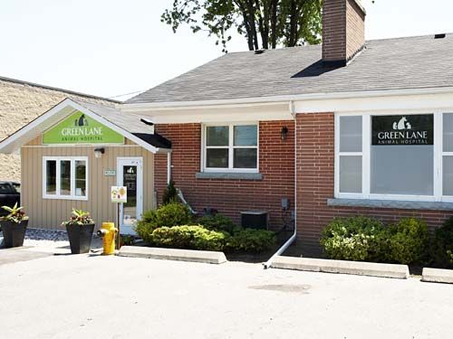 Green Lane Animal Hospital - Logo