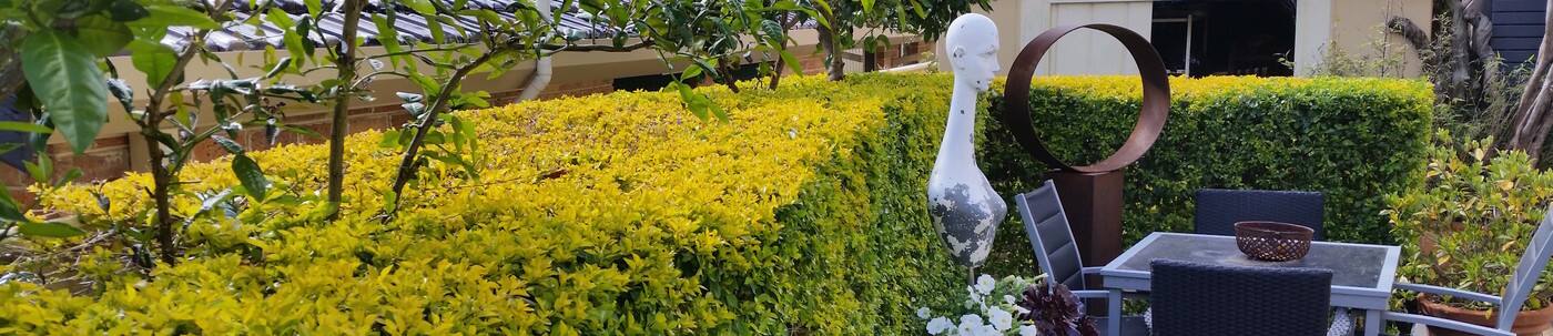 Green Leaf Tree & Garden Solutions - Cover photo