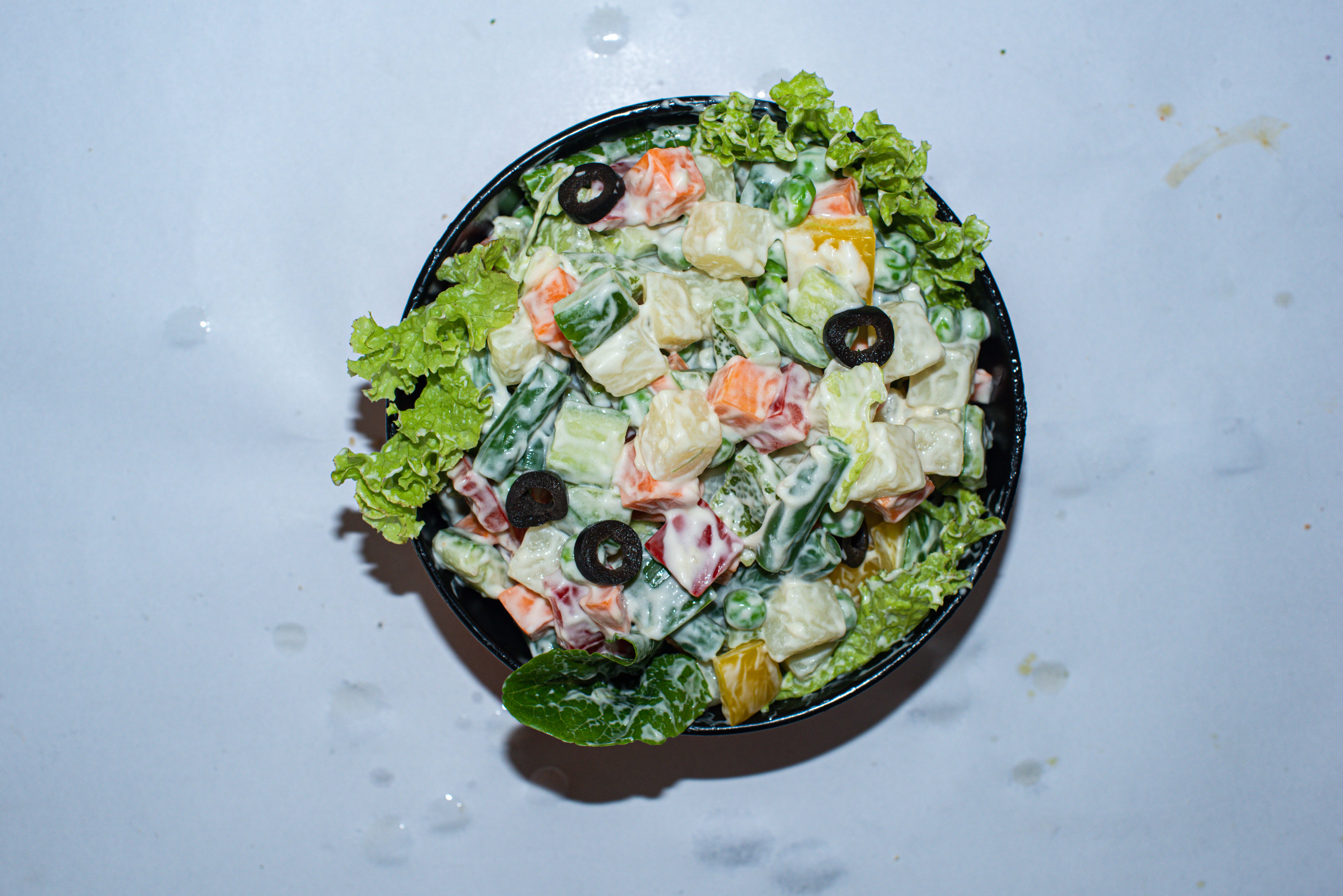 GreenSalad.in - Logo