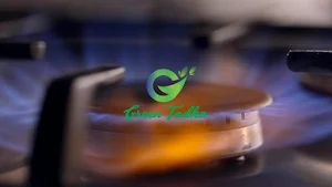 Green Tadka - Logo