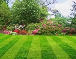 Green Team Lawn Care - Cover photo