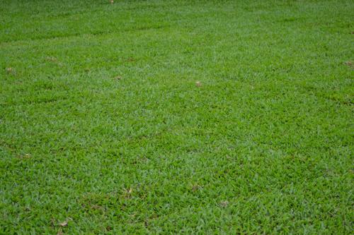 Greenview Turf - Logo