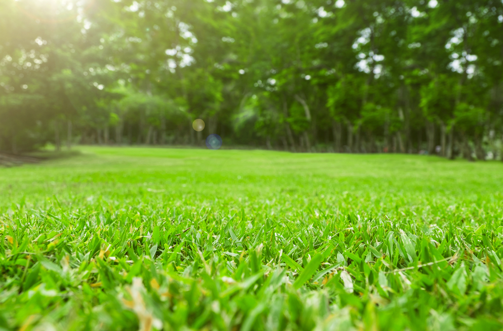 Greg Sullivan Landscapes - Logo
