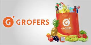 Grofers - Logo
