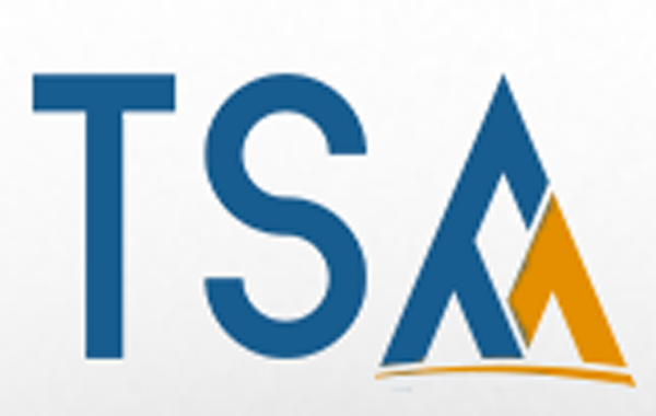 Groupe Synergie Alliance Inc. - Logo