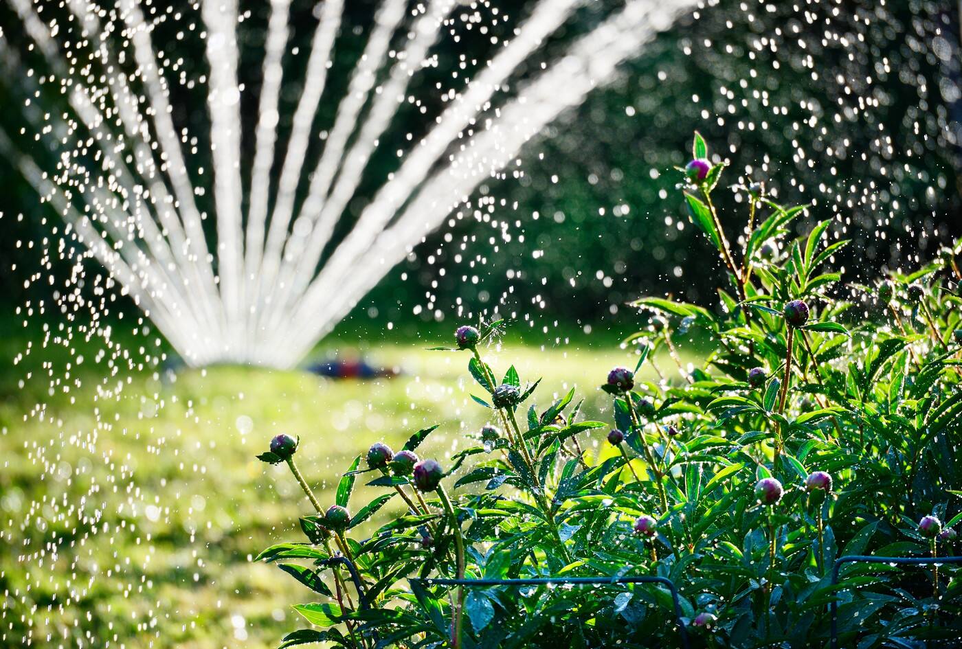 Grow Horticultural Services - Cover photo