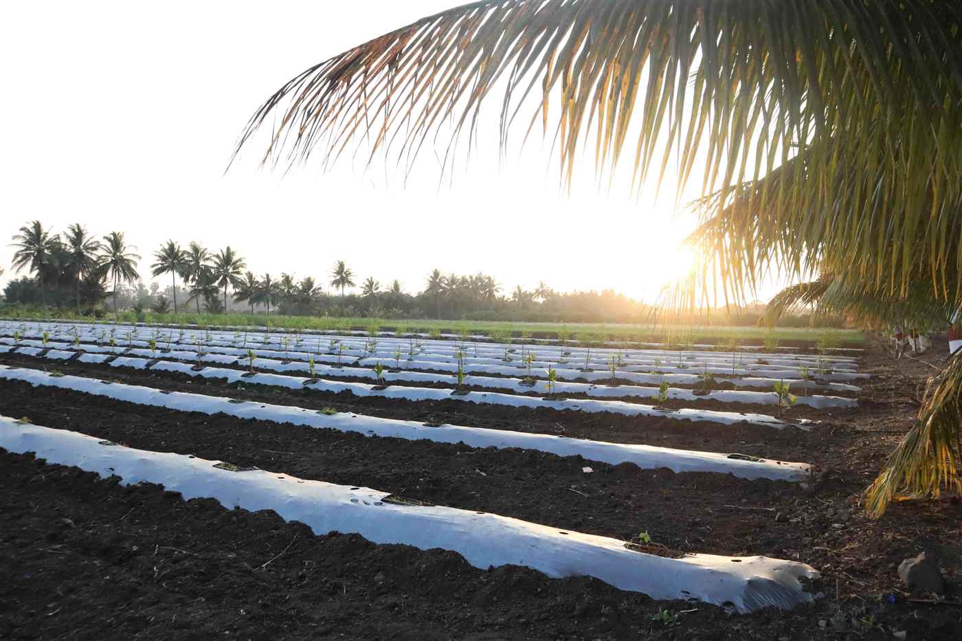 Growit India Private Limited - Cover photo
