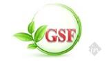 Gsf Engineering 383006 - Cover photo