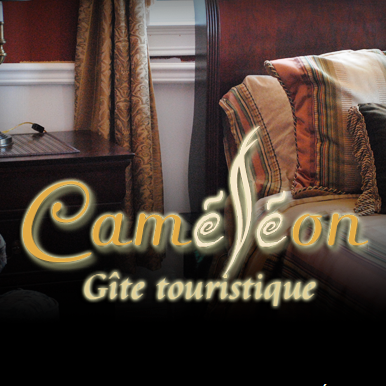 Gîte du Caméléon - Logo