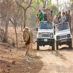 Gujarat Holidays Tours And Travels Services 133821 - Logo