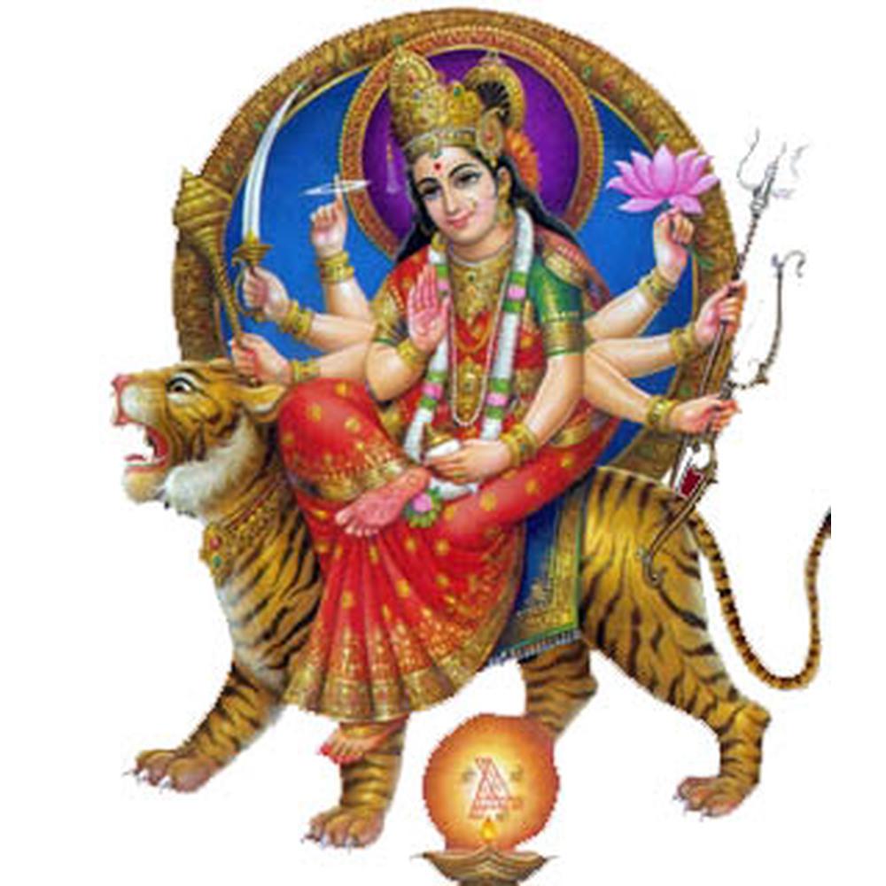 Gulabi devi degree college (GDDC) - Logo