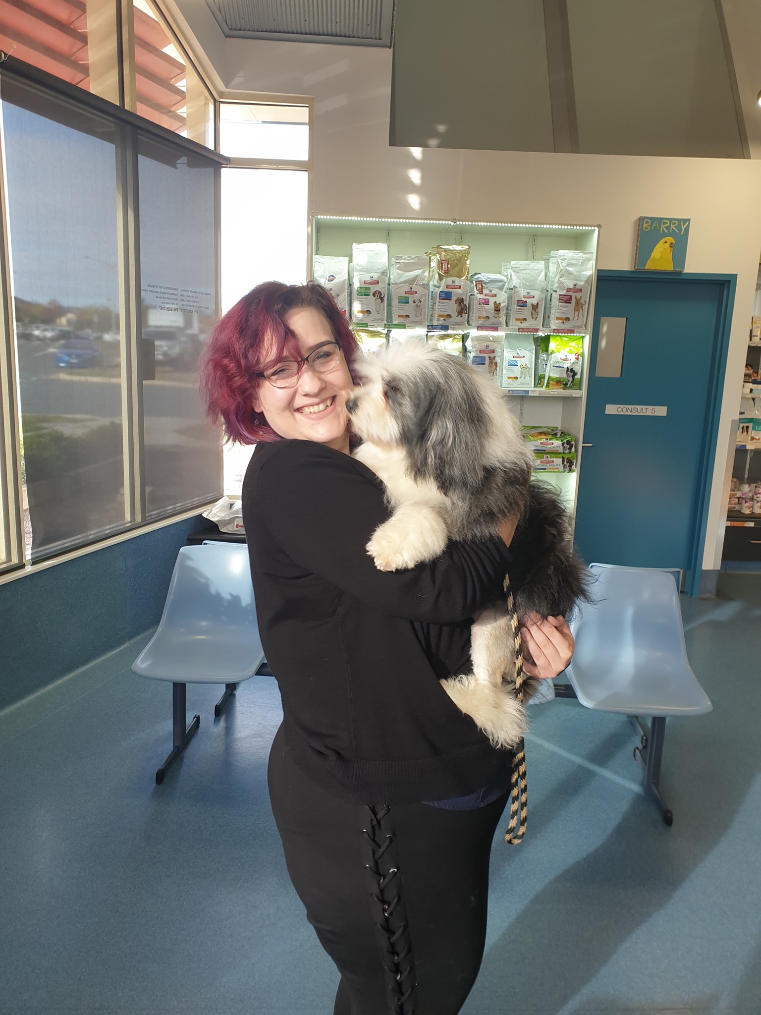 Gungahlin Veterinary Hospital & Gungahlin Cat Hospital - Logo