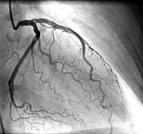Gupta Heart Centre - Cover photo