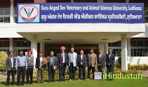 Guru Angad Dev Veterinary and Animal Sciences Universit - Logo