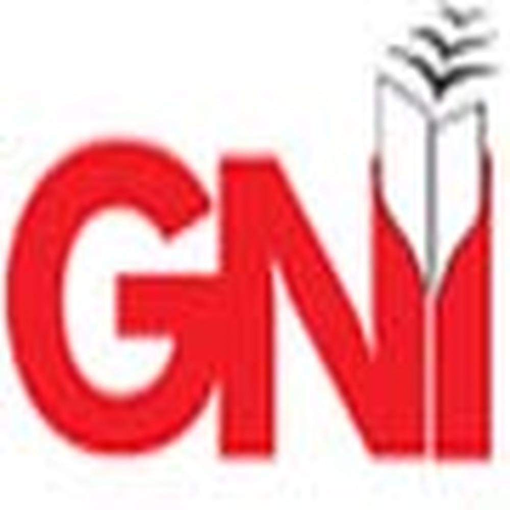 Guru Nanak School of Computer Applications (GNICA) - Logo