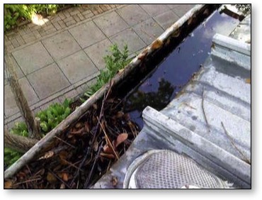 Gutter Cleaning Townsville - Logo