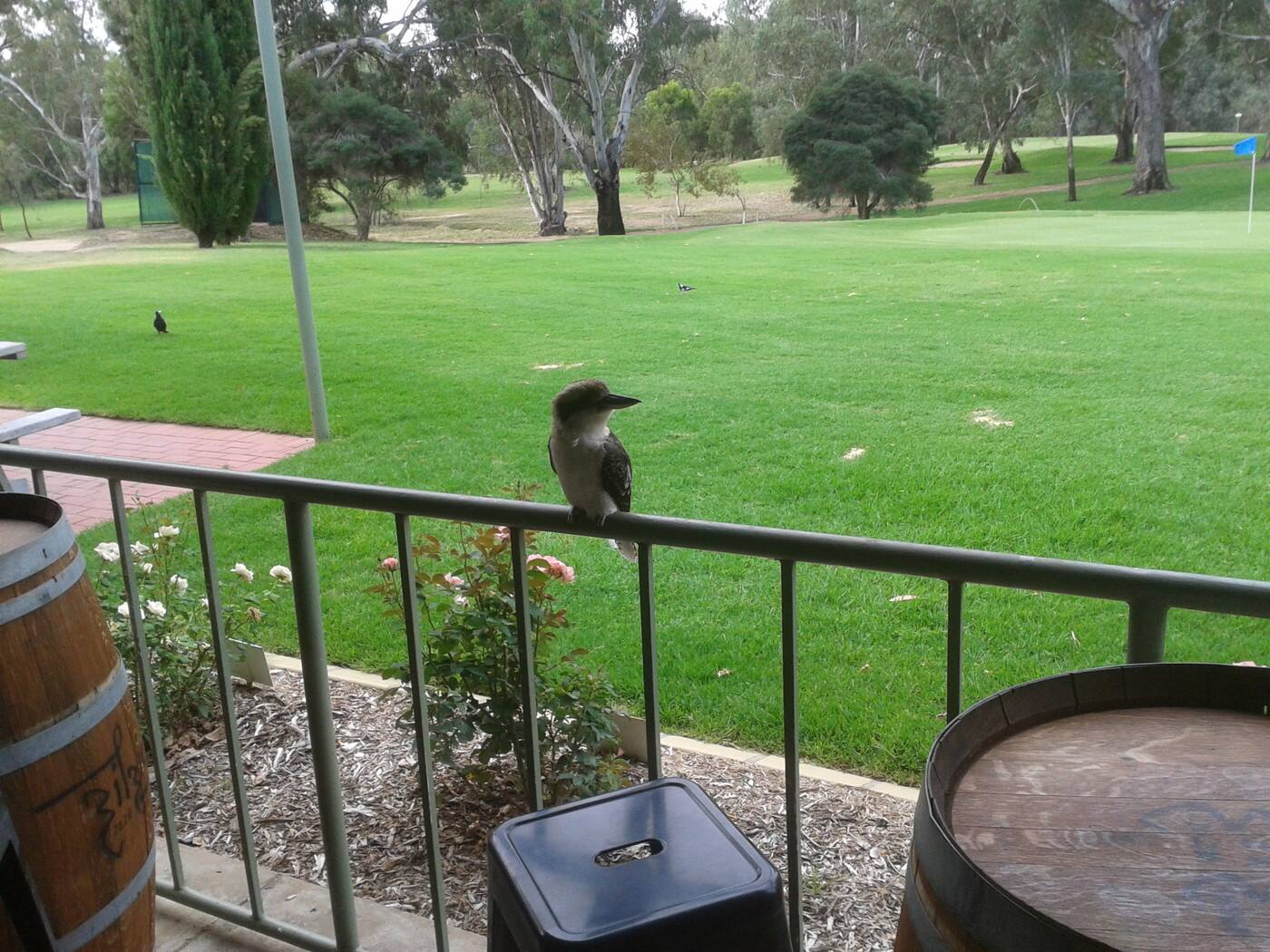 Gutter-Vac Mildura (Sunraysia), Broken Hill and Riverla - Cover photo