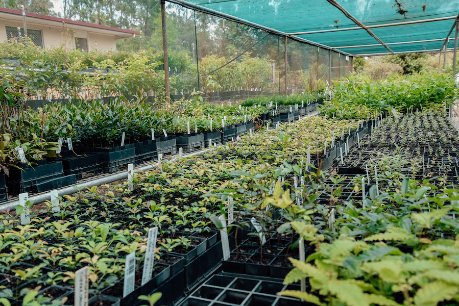 Gympie & District Landcare - Cover photo