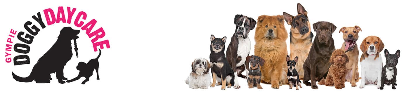 Gympie Doggy Daycare - Cover photo