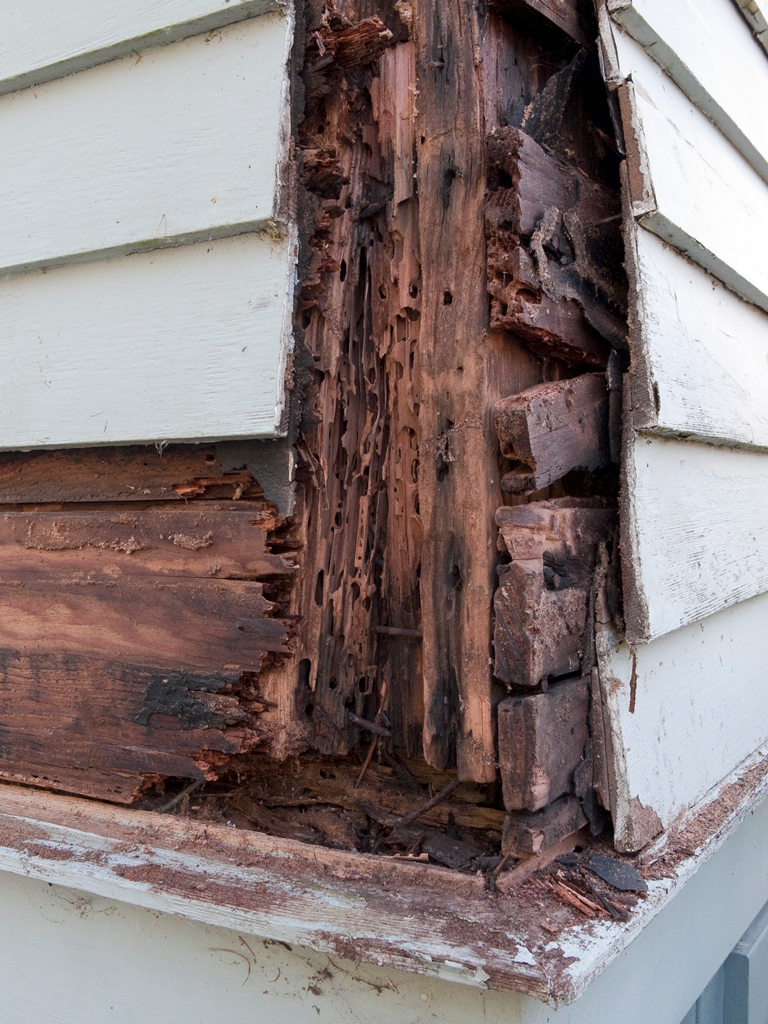 Gympie Inspection Services - Cover photo