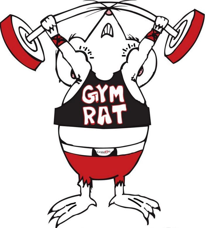 Gym Rats Fitness - Logo