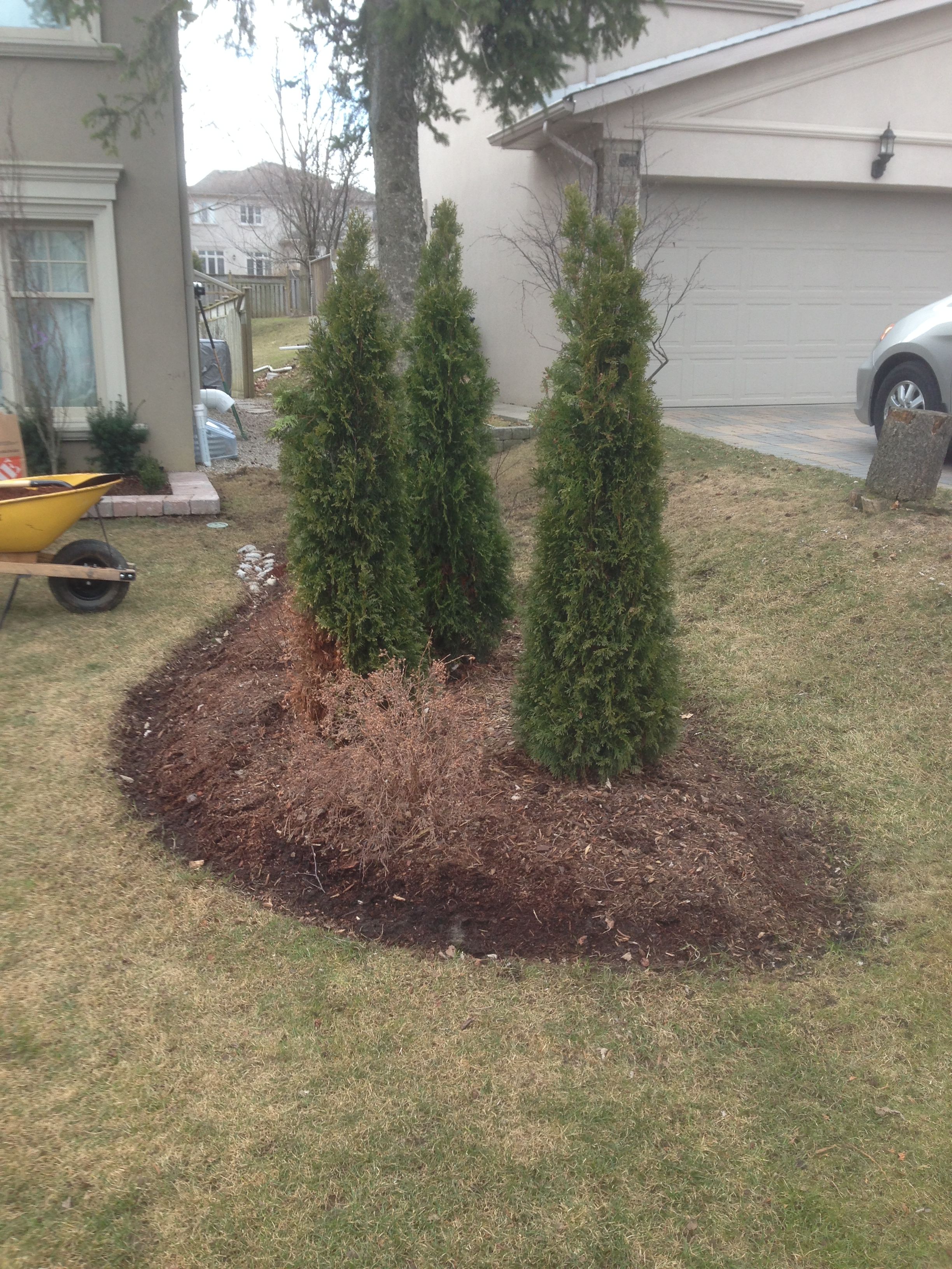 Habbers Lawn Care Services - Logo